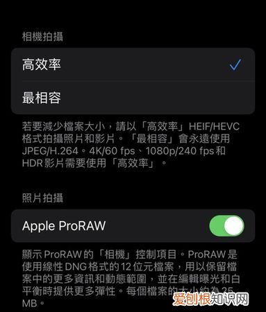 苹果12raw格式怎么用,苹果raw格式怎么设置