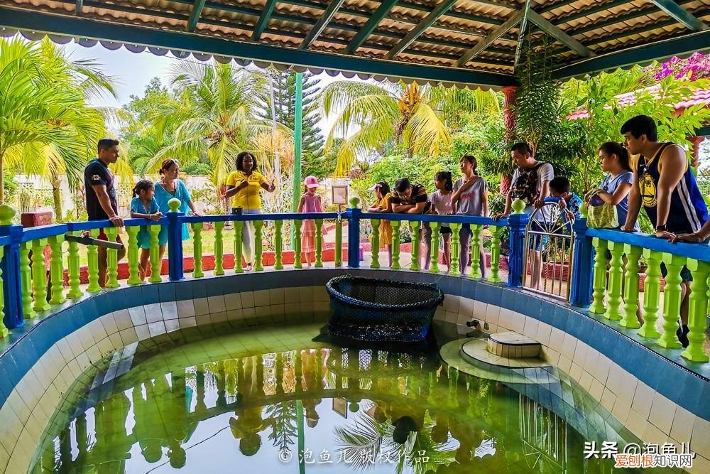 没套路！无小费！马来西亚珍拉汀湾超详攻略