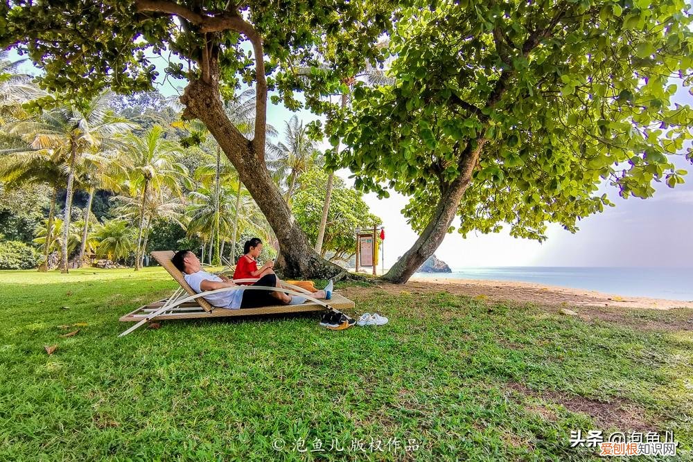 没套路!无小费!马来西亚珍拉汀湾超详攻略