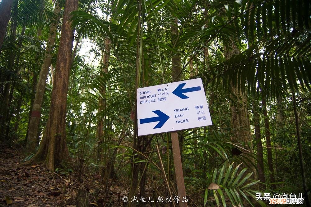 没套路！无小费！马来西亚珍拉汀湾超详攻略