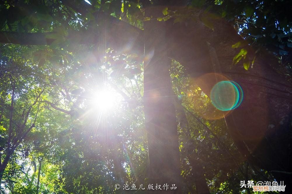 没套路！无小费！马来西亚珍拉汀湾超详攻略