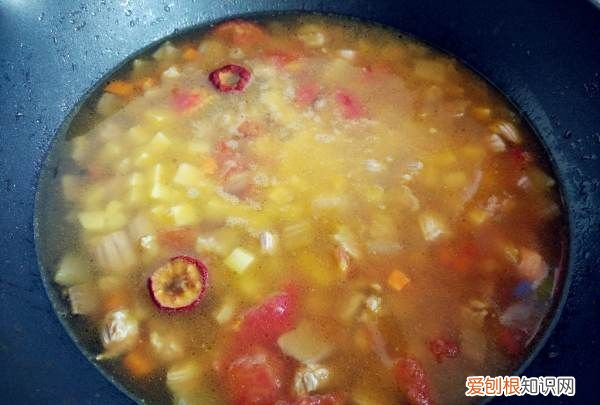 炖牛排的做法，西红柿炖牛肉怎么做