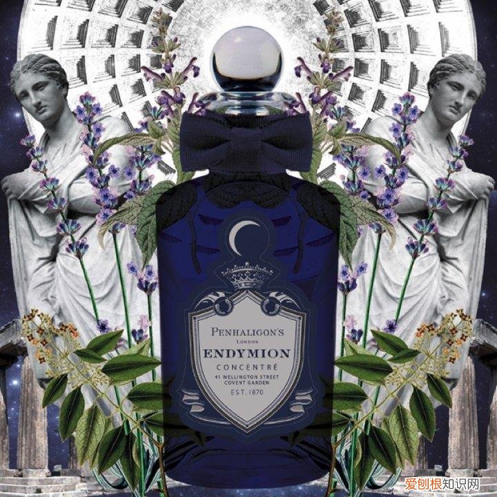 用味道标记他|15款超精致的小众男友香