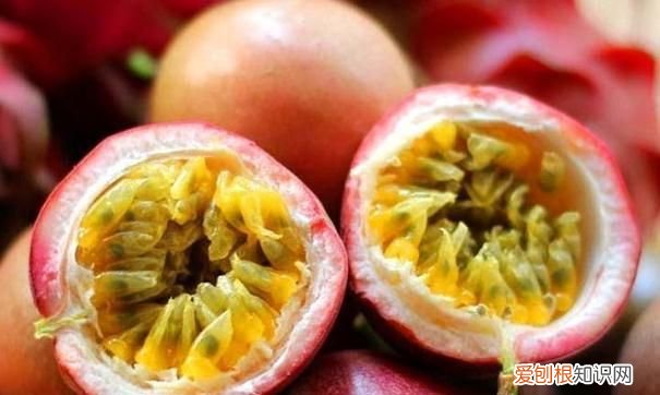 百香果干了还能吃吗,特百惠百香果皮干做法