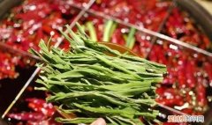 吃贡菜有什么禁忌