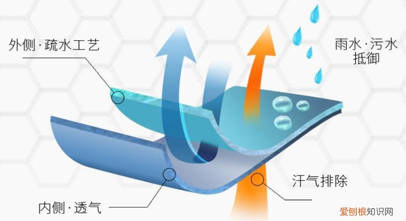 明星总统都爱穿的破烂棉袄，原型竟是美国军服