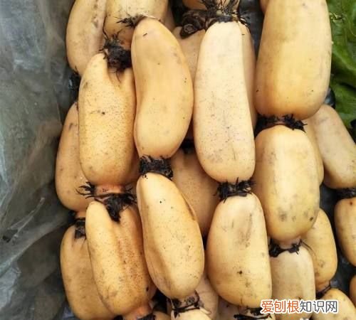 藕可以放冰箱保鲜几天,莲藕削皮放冰箱可以放几天