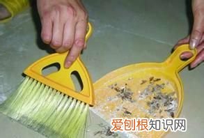 小苏打灭蟑螂最有效的方法,家庭消灭蟑螂的6种简单可行的方法