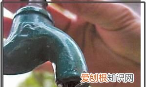 小苏打灭蟑螂最有效的方法,家庭消灭蟑螂的6种简单可行的方法