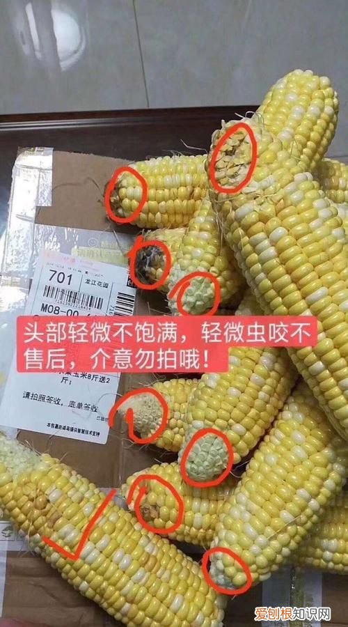 玉米坏了是什么样的，鲜玉米霉变什么样子