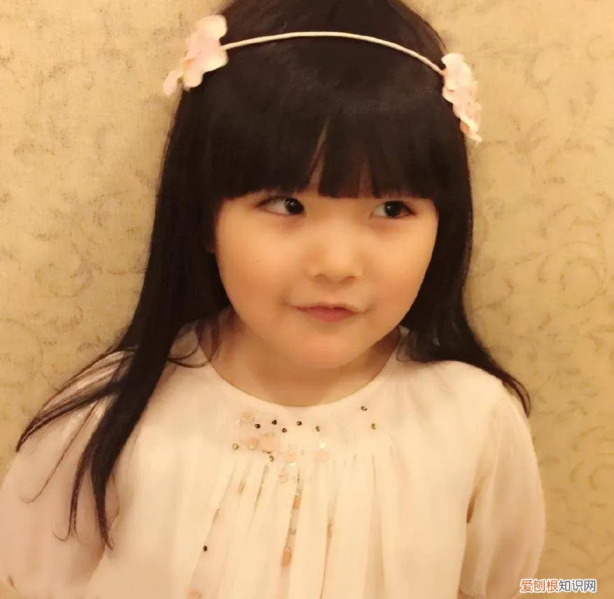 王诗龄深夜和网友对骂！