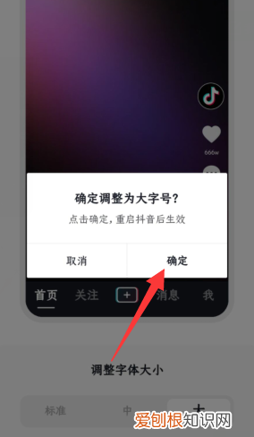 抖音评论里的怎么放大，iPhone抖音评论怎么发图片