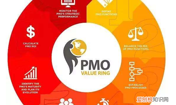 pmo与项目经理区别,PM和PMO有什么区别与关联