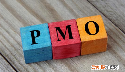 pmo与项目经理区别,PM和PMO有什么区别与关联