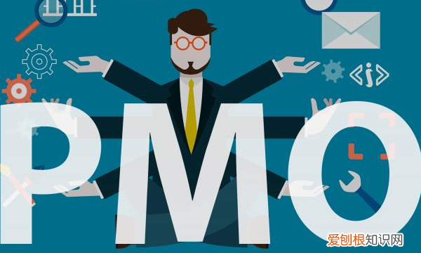 pmo与项目经理区别,PM和PMO有什么区别与关联