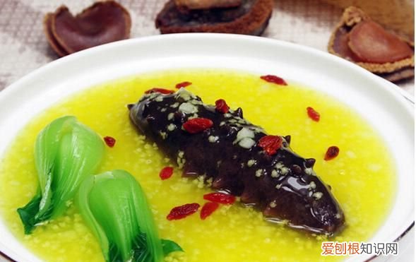 吃鸡蛋和海参的好处,为什么要吃海参的蛋白而不是鸡蛋