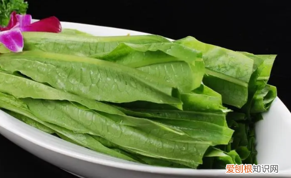 油麦菜炒前要焯水,油麦菜炒之前需要过水吗