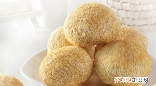 猴头菇生虫子怎么处理,新鲜猴头菇的家常做法是什么