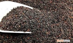 黑芝麻和黑米有什么区别，黑香米和黑米有什么区别吗