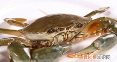 死海蟹怎么保存才新鲜