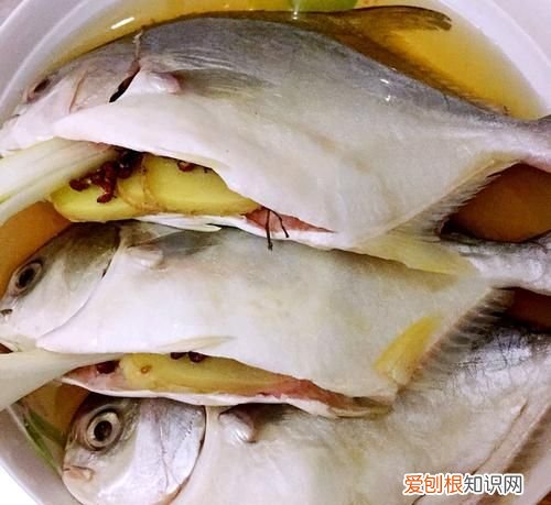 12个月宝宝鱼怎么吃,吃金昌鱼有什么好处