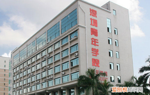 专升本成考和自考区别,自考专升本和成考专升本哪个含金量高