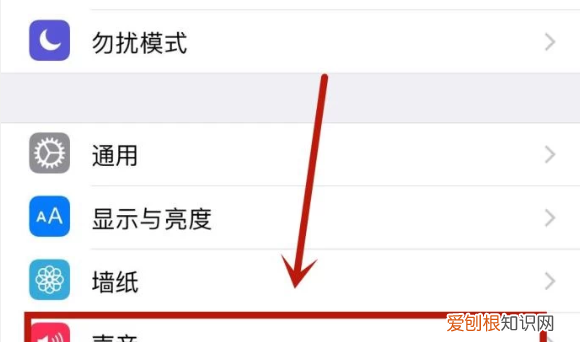 苹果手机怎么静音,苹果手机应该怎么样才能静音