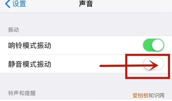 苹果手机怎么静音,苹果手机应该怎么样才能静音