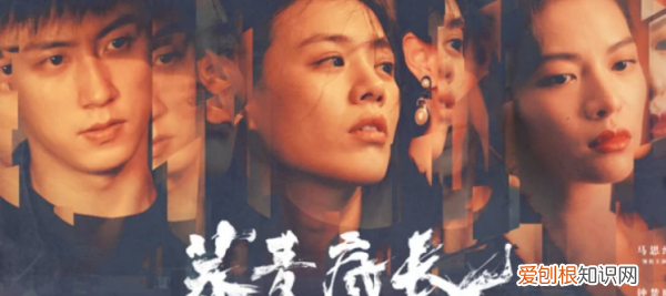 芥麦疯长什么时候上映，荞麦疯长电影讲的什么意思