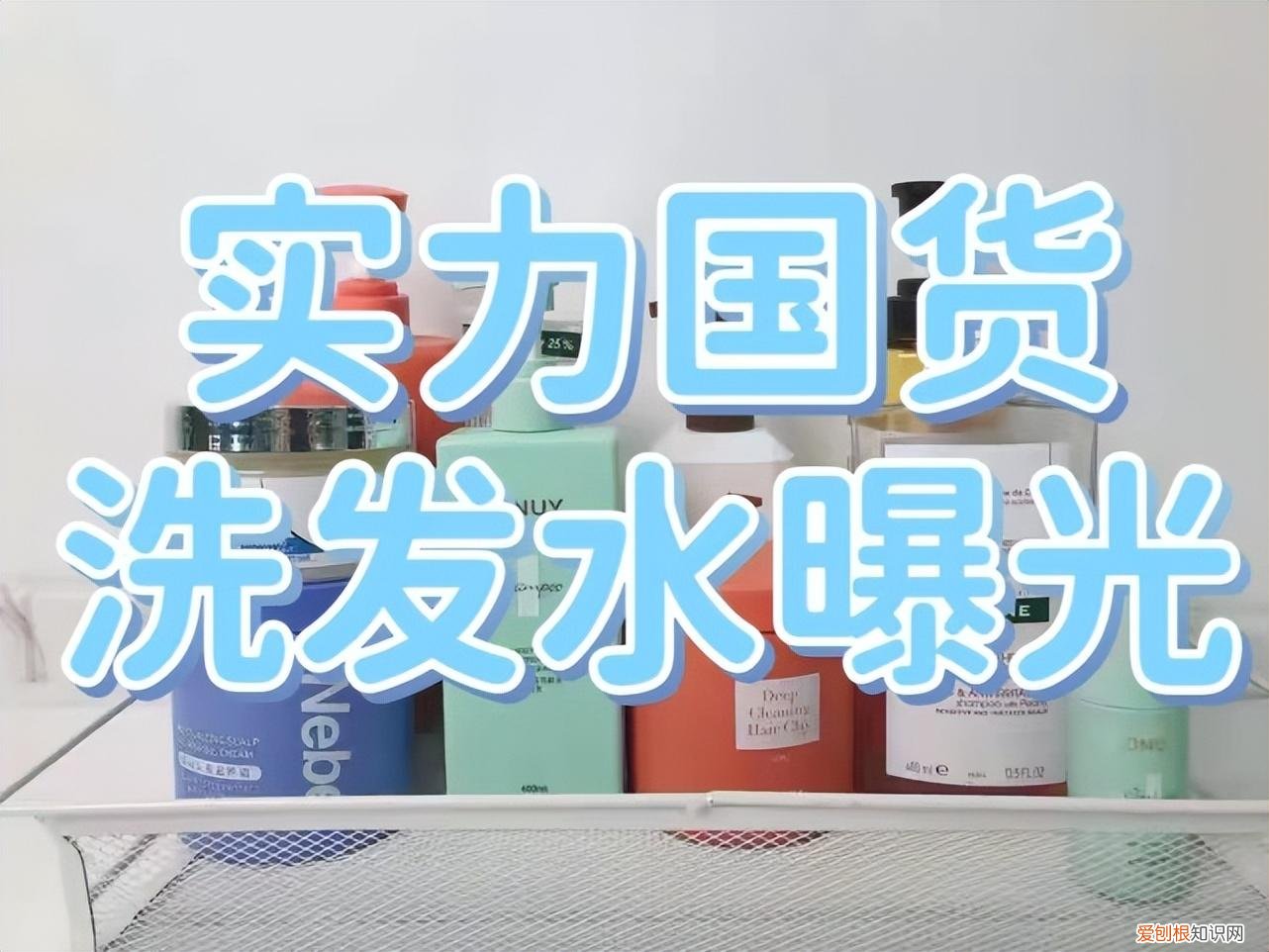 防脱发洗发水哪个好用