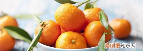 吃萝卜多久才能吃桔子,冰糖水果萝卜什么时间种