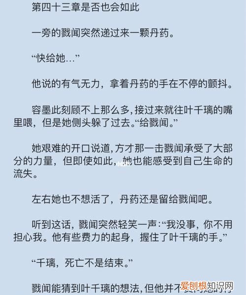 女主角叶千璃的小说叫什么