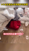 四个女孩子住民宿四天变垃圾场