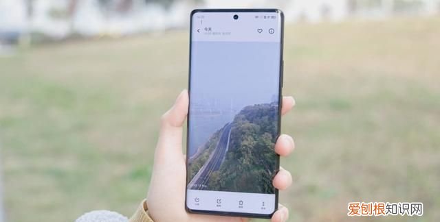 iqoo7直屏还是曲屏,iqoo11 pro和iqoo11屏幕区别