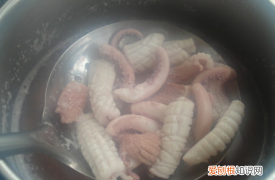 鲜鱿鱼的做法，新鲜鱿鱼怎么做才好吃