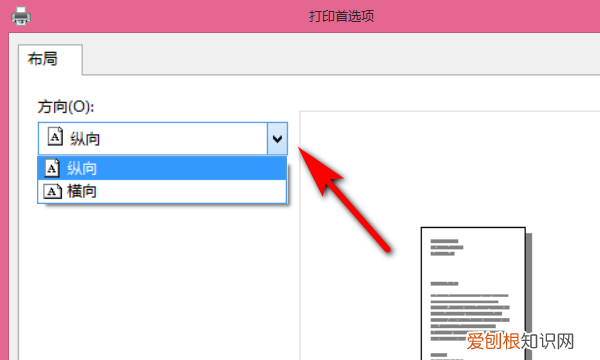 搜狗浏览器极速版下载安装，搜狗浏览器怎么设置打印布局