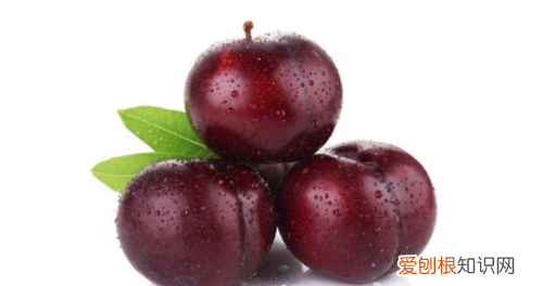 吃黑布林有什么好处，黑布林水果树适宜什么时候种植树苗怎么培植