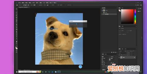 ps中如何做蒙版羽化,PS应该怎么样才能羽化边缘