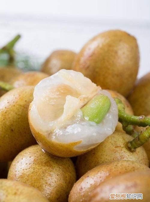 黄皮是凉性的水果，黄皮是凉性还是热性