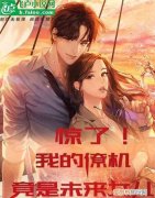 我的萌宝是僚机小说叫什么名字