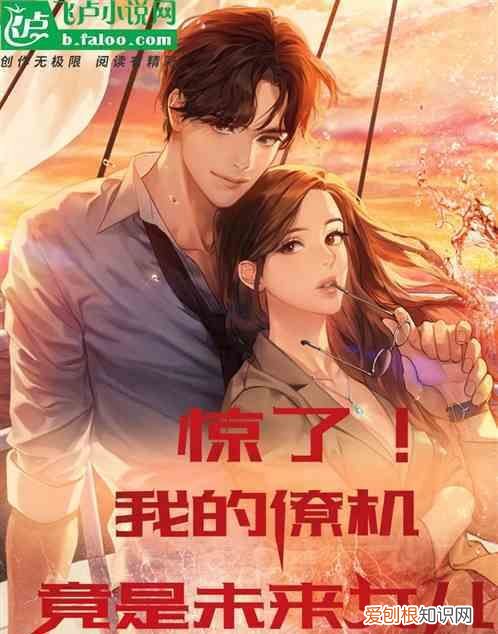 我的萌宝是僚机小说叫什么名字