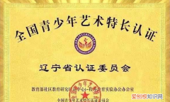 艺术a类和b类的区别，艺术特长生A级b级区别