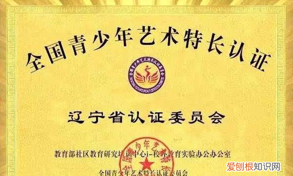 艺术a类和b类的区别，艺术特长生A级b级区别