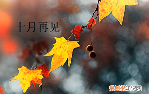 十月二号结婚有婚假，十月二号朋友圈怎么发