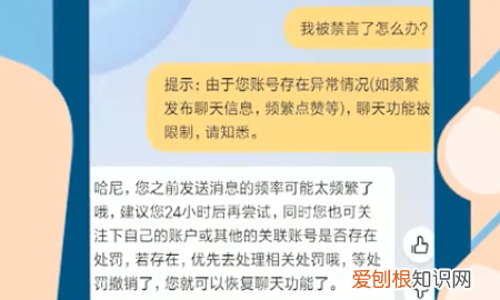 闲鱼卖家拒绝留言怎么办，闲鱼卖家一直不回复,怎么联系他