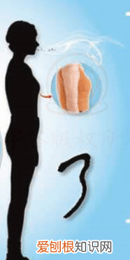 第二人称怎么和第三人称一起用 如何看出是第二人称和一人称