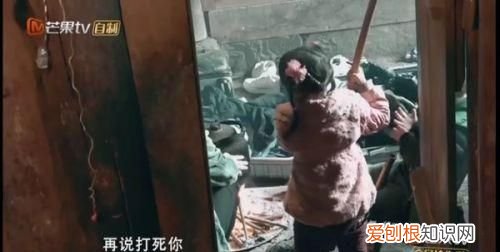 你们如何看待 社会我丽姐 呢?喜欢还是讨厌呢英语