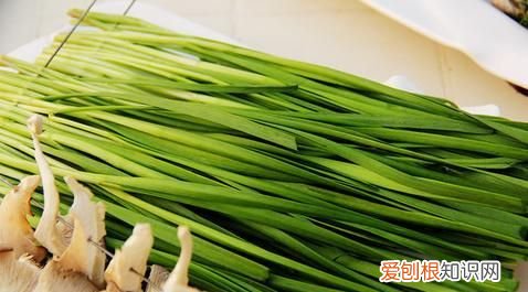 韭菜盒子隔夜可以吃,韭菜隔夜吃有什么害处