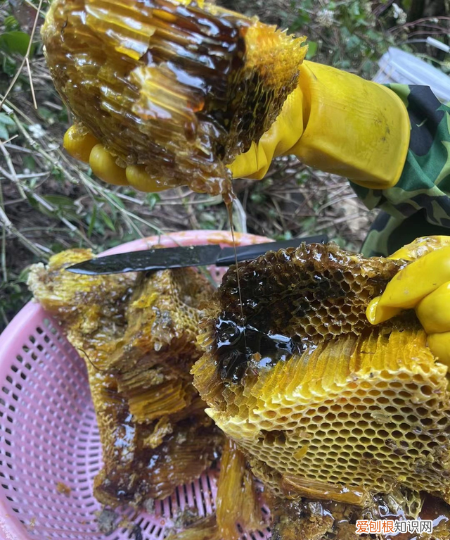 放了七八年的蜂蜜了还可以吃吗