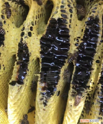 放了七八年的蜂蜜了还可以吃吗